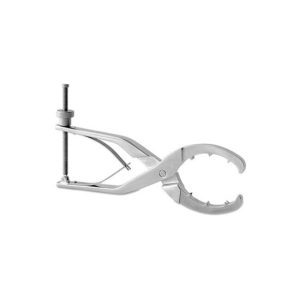 Extraction & Revision