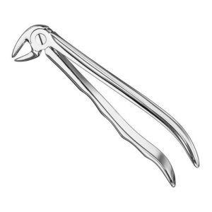 extracting forceps anat