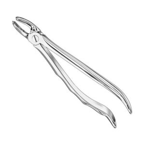extracting forceps anat