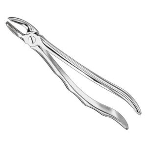 extracting forceps anat