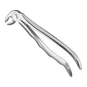 extracting forceps anat
