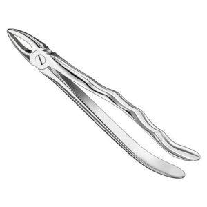 extracting forceps anat