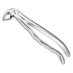 extracting forceps anat