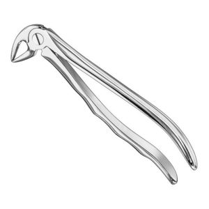 extracting forceps anat