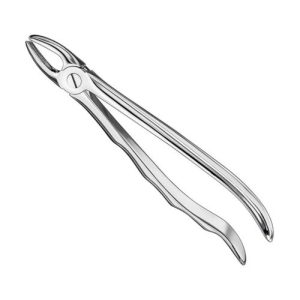 extracting forceps anat