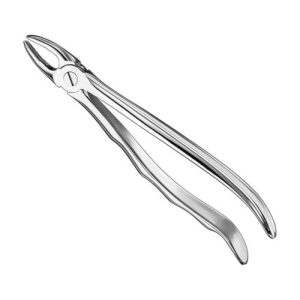 extracting forceps anat