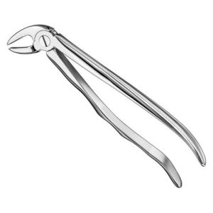 extracting forceps anat