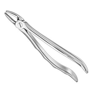 extracting forceps anat
