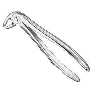 extracting forceps anat