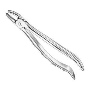 extracting forceps anat