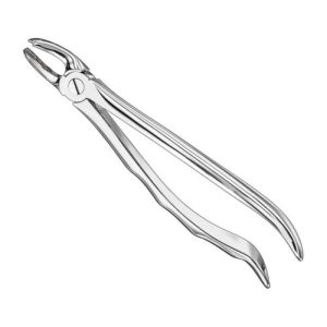 extracting forceps anat