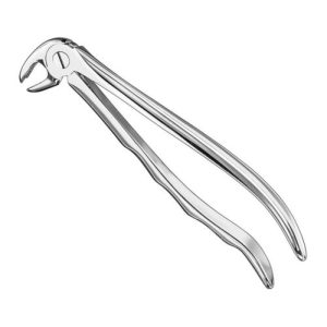 extracting forceps anat