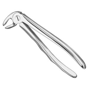 extracting forceps anat