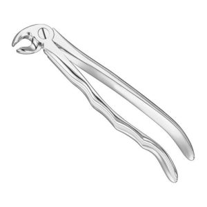extracting forceps anat