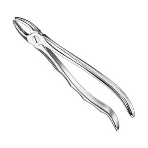 extracting forceps anat