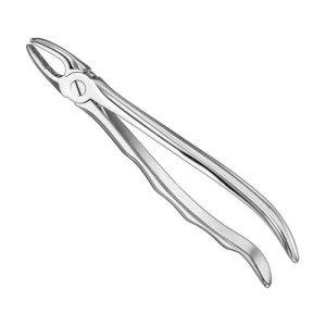 extracting forceps anat