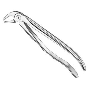 extracting forceps anat