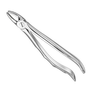 extracting forceps anat