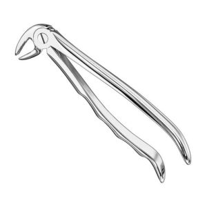 extracting forceps anat