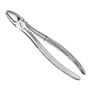 extracting forceps engl