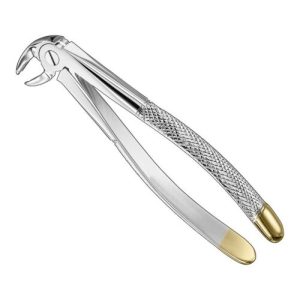 extracting forceps engl