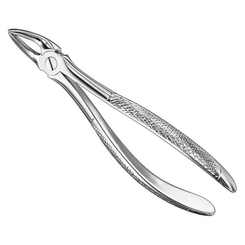 extracting forceps engl