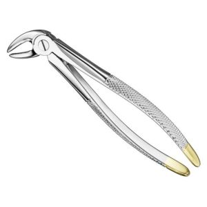 extracting forceps engl