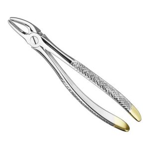 extracting forceps engl