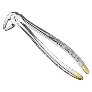 extracting forceps engl