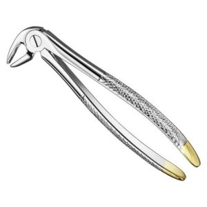 extracting forceps engl