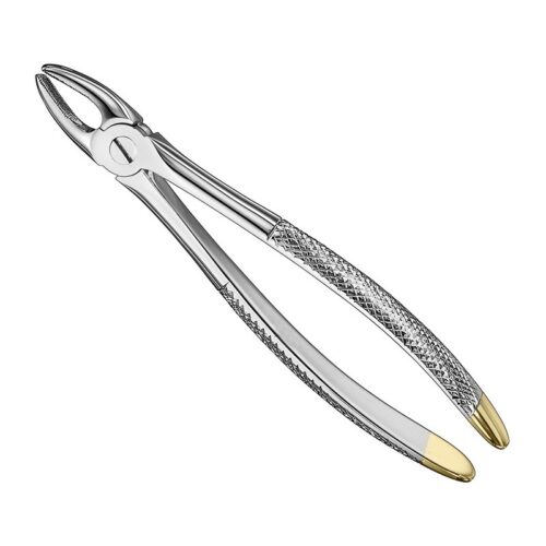 extracting forceps engl