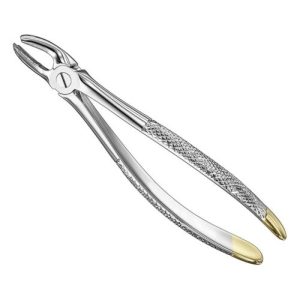 extracting forceps engl