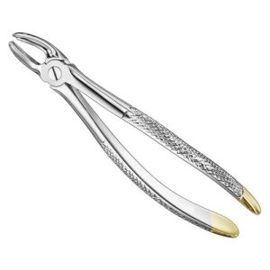 extracting forceps engl